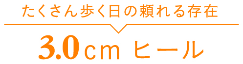 たくさん歩く日の頼れる存在3.0cmヒール