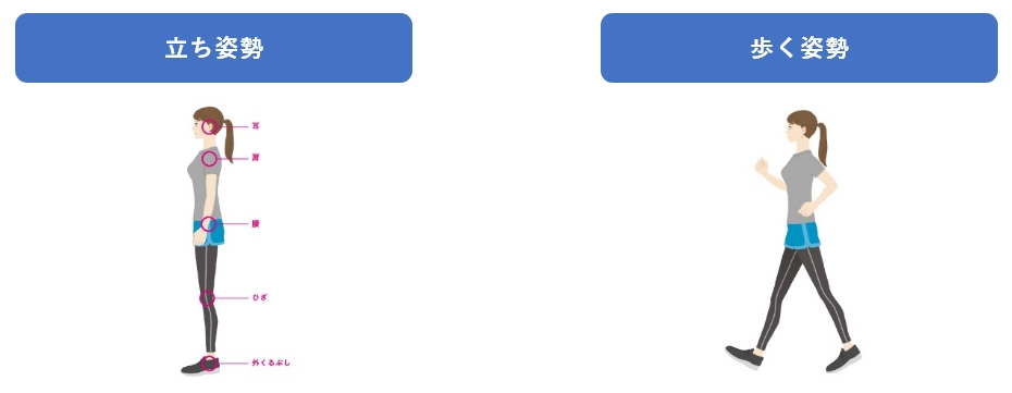 理想的な立ち姿勢と歩く姿勢