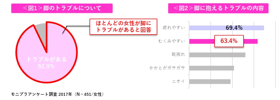 モニプラアンケート調査 2017年(N=451/女性)