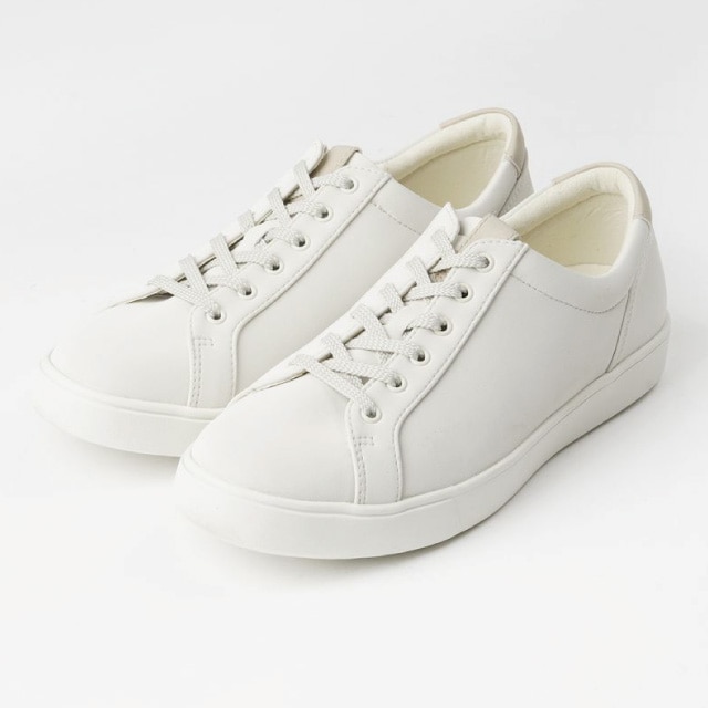 AO-10244 IVORY