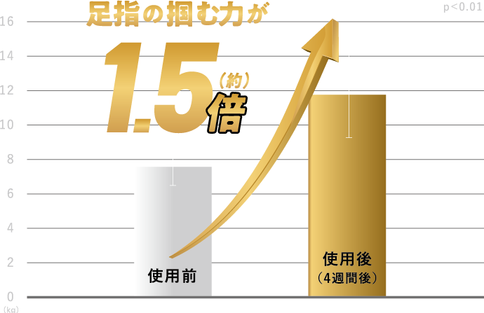 足指の掴む力が1.5倍