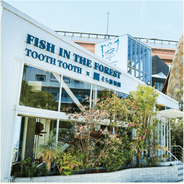 Lady worker in FISH IN THE FOREST ～TOOTH TOOTH × そら植物園～