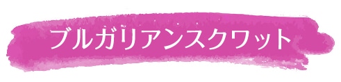 ブルガリアンスクワット