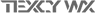 テクシーワークス